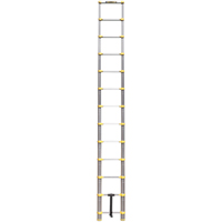 Telescopic Ladder, 3' - 12', Aluminum, 250 lbs. Capacity, Type 1 Pryde Industrial Inc.