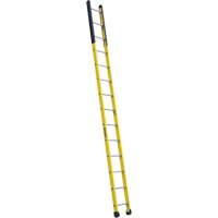 Single Manhole Ladder, 14', Fibreglass, 375 lbs., CSA Grade 1AA Pryde Industrial Inc.