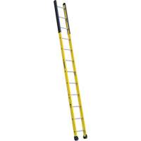 Single Manhole Ladder, 12', Fibreglass, 375 lbs., CSA Grade 1AA Pryde Industrial Inc.