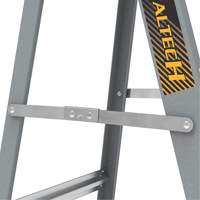 Step Ladder with Paint Tray, 6', Fibreglass, 225 lbs. Capacity, Type 2 Pryde Industrial Inc.