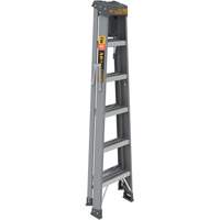 Step Ladder with Paint Tray, 6', Fibreglass, 225 lbs. Capacity, Type 2 Pryde Industrial Inc.