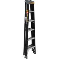 Step Ladder, 6', Fibreglass, 250 lbs. Capacity, Type 1 Pryde Industrial Inc.