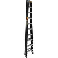 Step Ladder, 10', Fibreglass, 250 lbs. Capacity, Type 1 Pryde Industrial Inc.