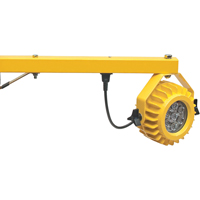 Lampes pour quais de chargement robustes, Bras 24", 300 W, Ampoule DEL, M&eacute;tal Pryde Industrial Inc.