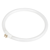 Replacement Fluorescent Bulb for Rhinomag Illuminated Magnifiers, 22 W Pryde Industrial Inc.