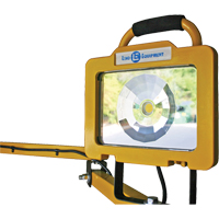 Heavy-Duty Dock Light, 40" Arm, 38 W, LED Lamp, Metal Pryde Industrial Inc.