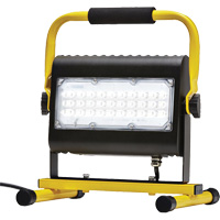 Flood Light, LED, 50 W, 4800 Lumens, Aluminum Housing Pryde Industrial Inc.
