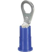 Ring Terminals