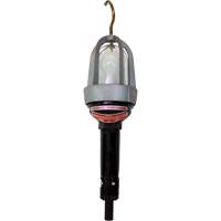 Baladeuses pour emplacements dangereux Pryde Industrial Inc.