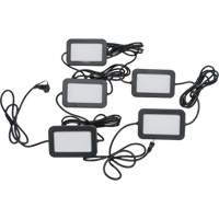 LED String Work Lights, 5 Lights, 50' L, Plastic Housing Pryde Industrial Inc.