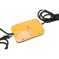 LED String Work Lights, 5 Lights, 50' L, Plastic Housing Pryde Industrial Inc.