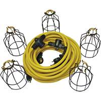 LED String Lights with Connector, 5 Lights, 50' L, Metal Housing Pryde Industrial Inc.