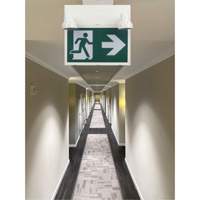 Running Man Sign with Security Lights, LED, Battery Operated/Hardwired, 12-1/10" L x 11" W, Pictogram Pryde Industrial Inc.