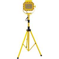 Explosion Proof Floodlight with Tripod, LED, 40 W, 5600 Lumens, Aluminum Housing Pryde Industrial Inc.