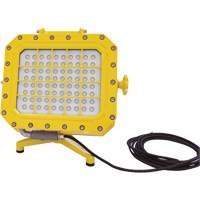 Explosion Proof Floodlight with Floor Stand, LED, 40 W, 5600 Lumens, Aluminum Housing Pryde Industrial Inc.