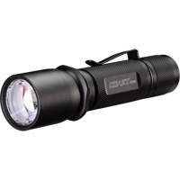 Hand-Held Flashlight